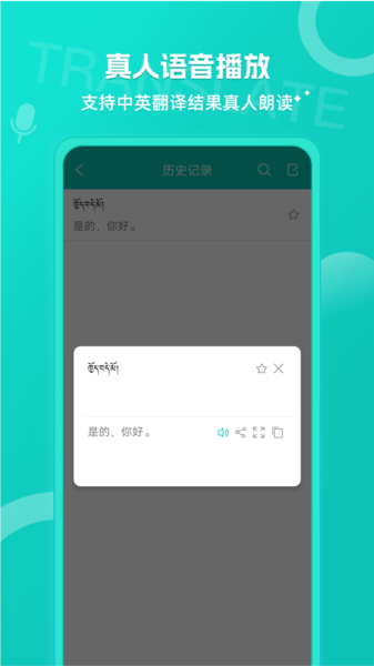藏英翻译TibeticEnglish