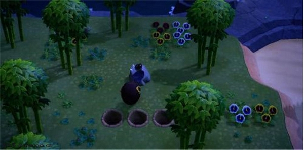 集合啦动物森友会 集合啦动物森友会